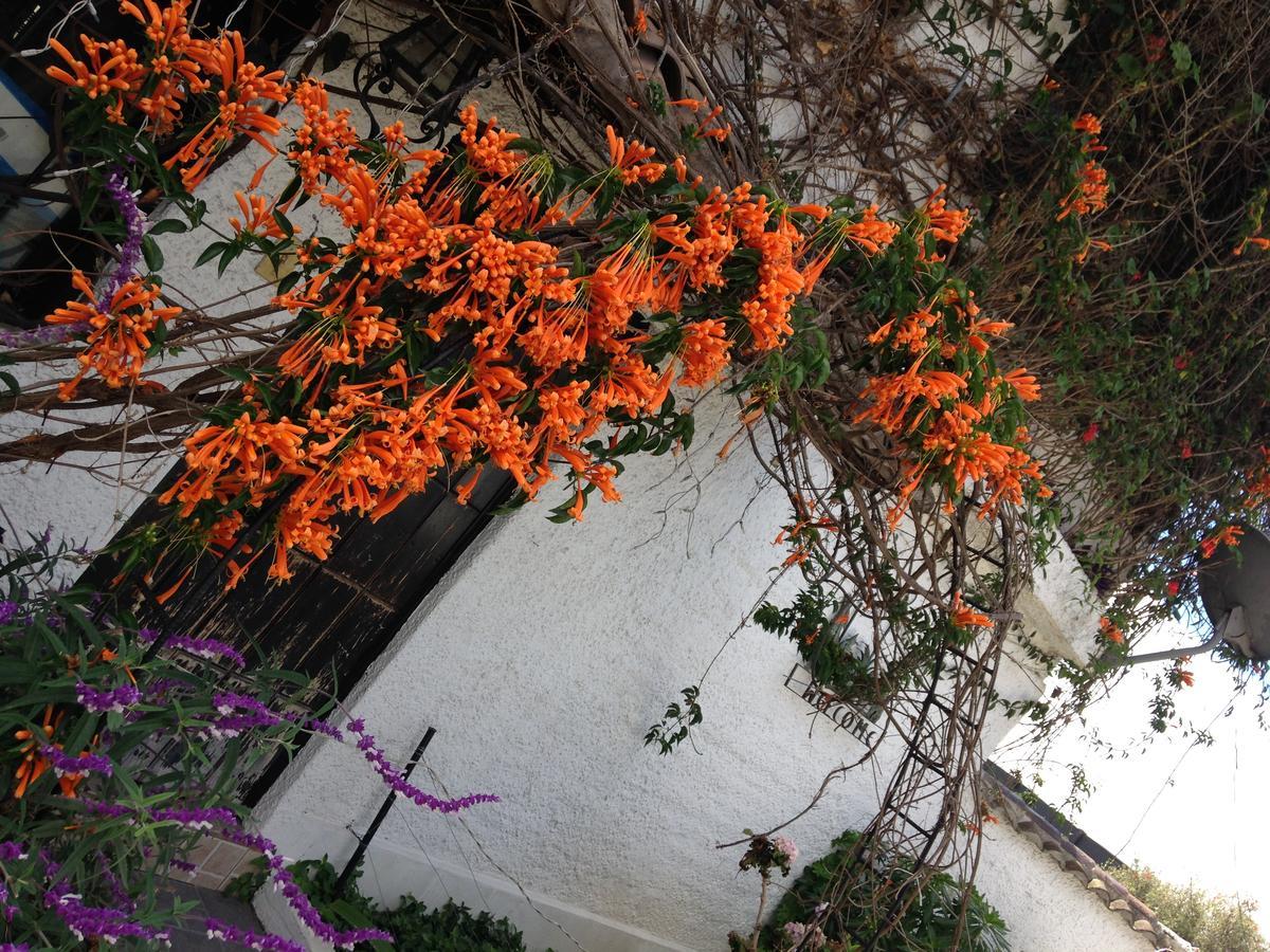 Mansion Samzara Hosteleria Sangolqui Exterior photo
